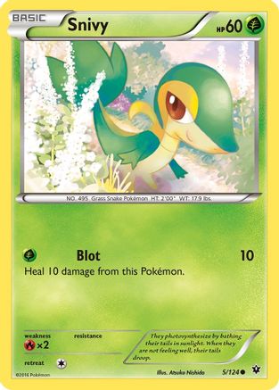 Snivy 005 - Reverse Holofoil XY Fates Collide - Common