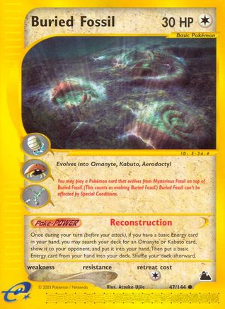 Buried Fossil Skyridge - Common