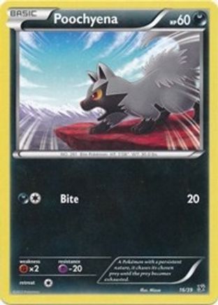 Poochyena Kalos Starter Set - Common