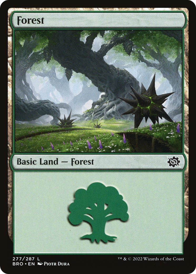 Forest (277) (BRO-277) - The Brothers' War Foil