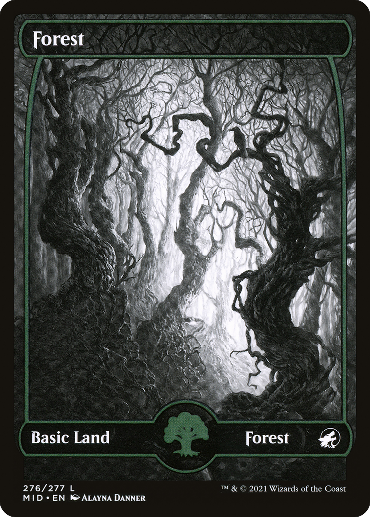 Forest (276) (MID-276) - Innistrad: Midnight Hunt: (Full Art, Showcase) Foil