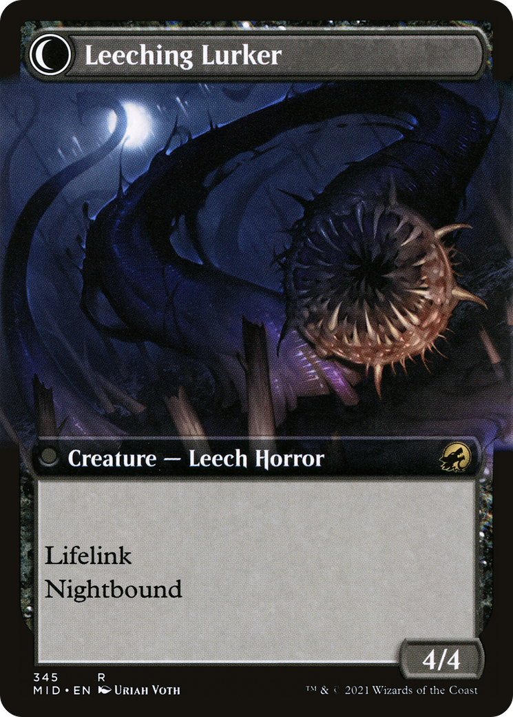 Curse of Leeches (Extended Art) (MID-345) - Innistrad: Midnight Hunt: (Extended Art, Double Faced Transform) Foil