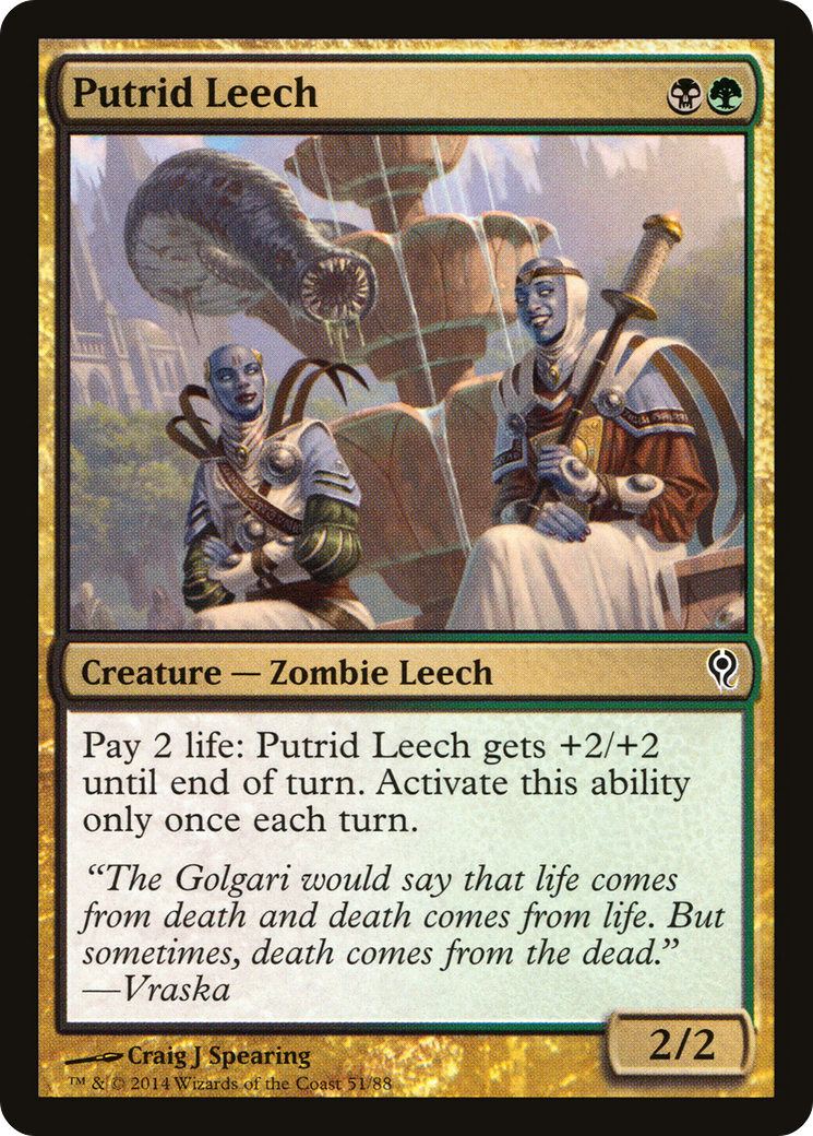 Putrid Leech (DDM-051) - Duel Decks: Jace vs. Vraska