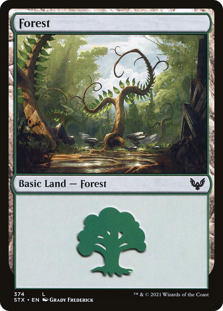 Forest (374) (STX-374) - Strixhaven: School of Mages Foil