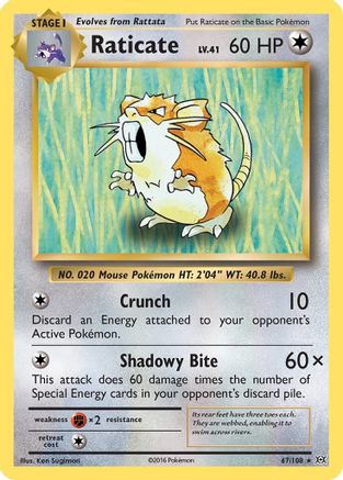 Raticate 067  XY  Evolutions - Rare