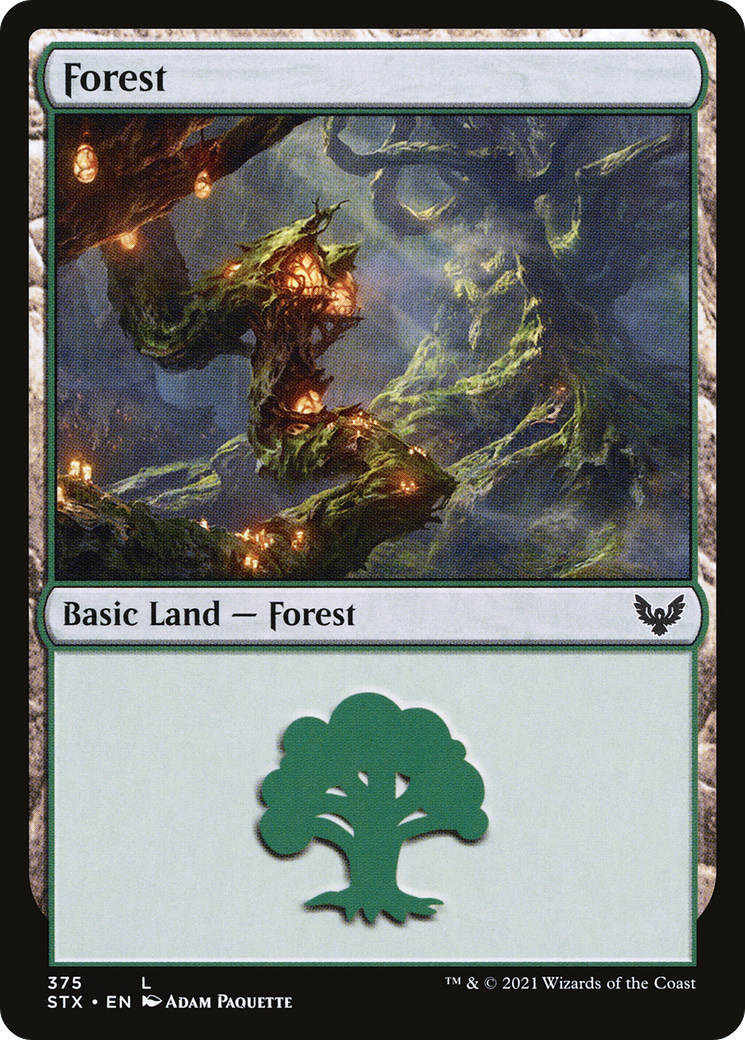 Forest (375) (STX-375) - Strixhaven: School of Mages Foil
