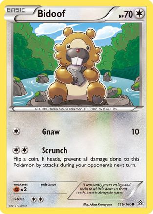 Bidoof 116  - Reverse Holofoil XY  Primal Clash - Common