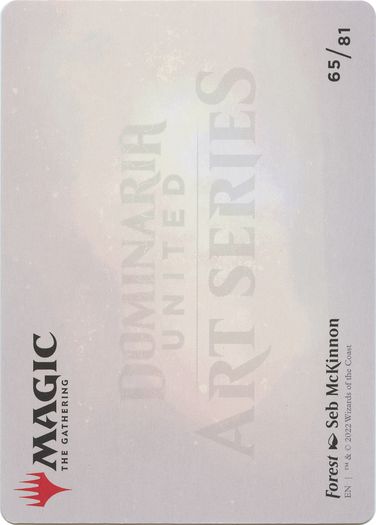 Forest // Forest (ADMU-065) - Dominaria United Art Series (Borderless) Foil